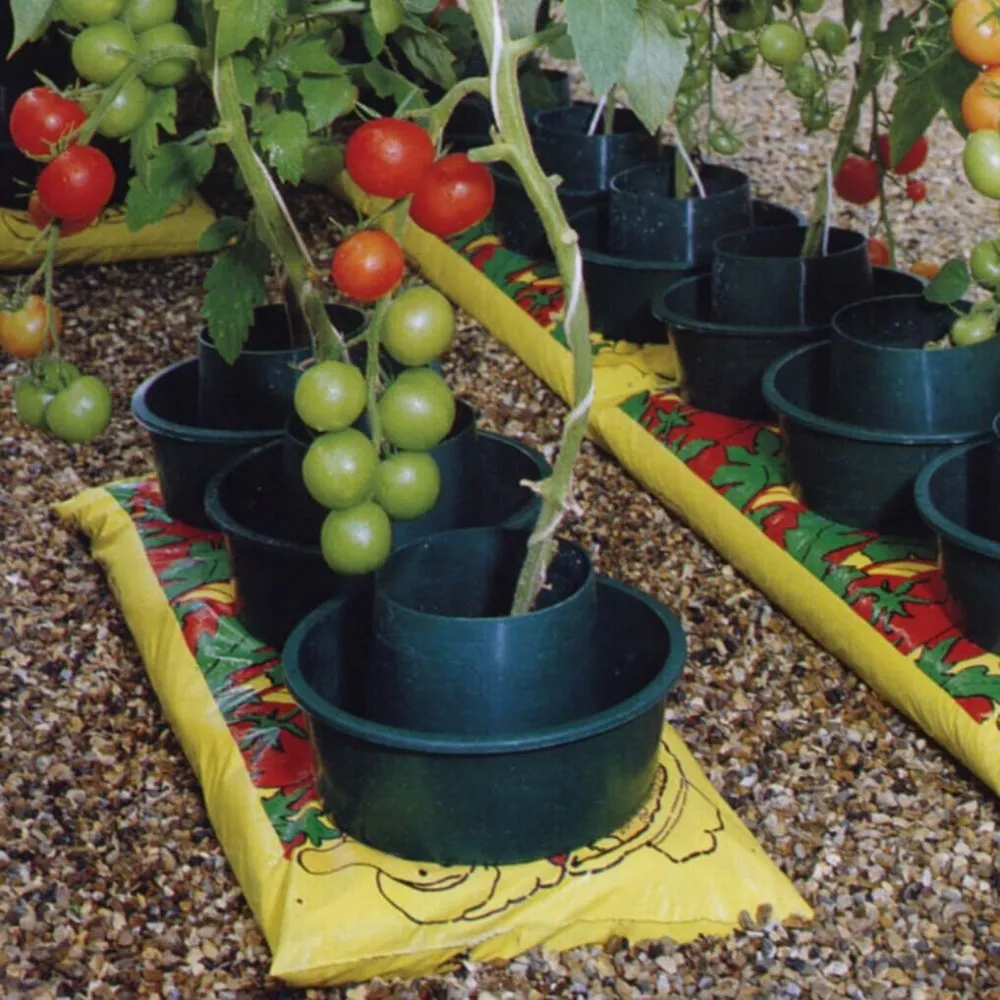 Black and Green GrowPots